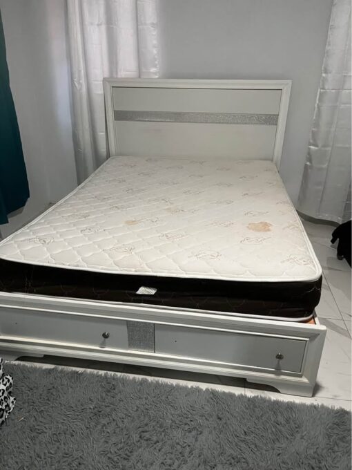 531496653 3123825494451113 2754833139877940528 n