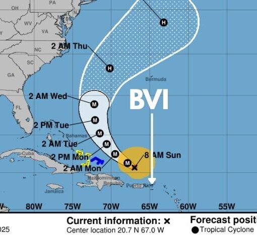 533769971 1194632102694636 5402944639113466602 n