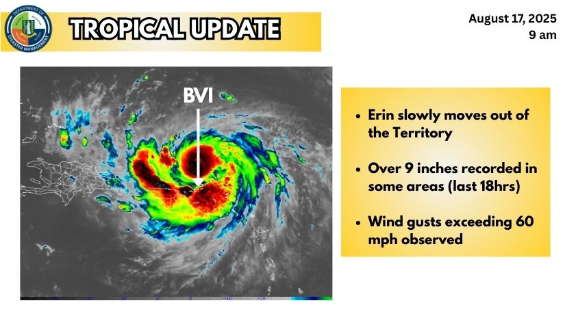 534514438 1194631306028049 5999467949598236382 n