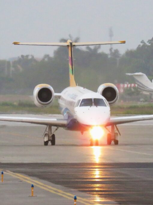 64907145 2380996618612844 5401650131885883392 n