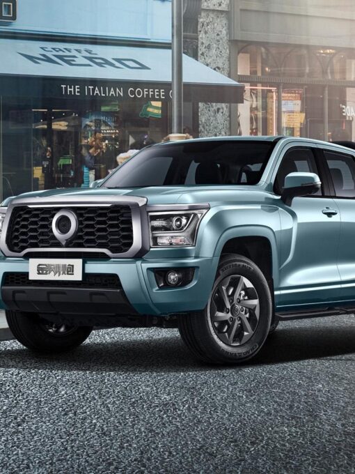 Great wall shanhai cannon 11