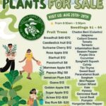 Whatsapp image 2025 08 25 at 19.46.44 e0a9216f