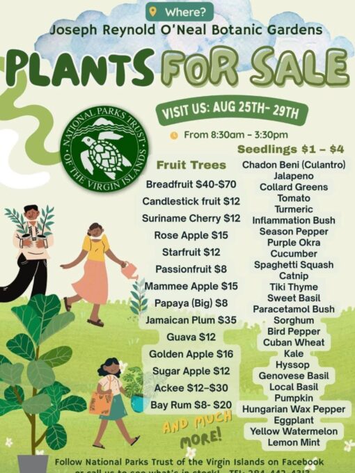 Whatsapp image 2025 08 25 at 19.46.44 e0a9216f