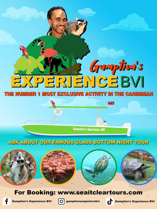 C0517e3e 6fee 4cd2 b2d0 ee919043cb6a