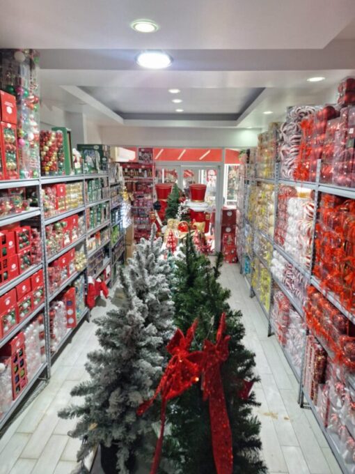 Cropped WhatsApp Image 2025 11 21 at 09.52.05 f0fd0553.jpg